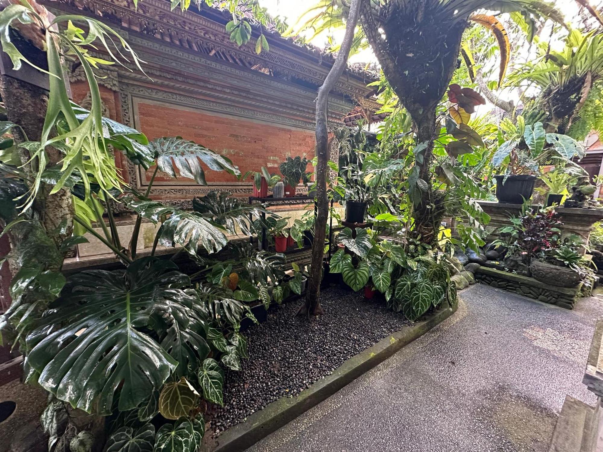 אובוד Naeera Guest House מראה חיצוני תמונה