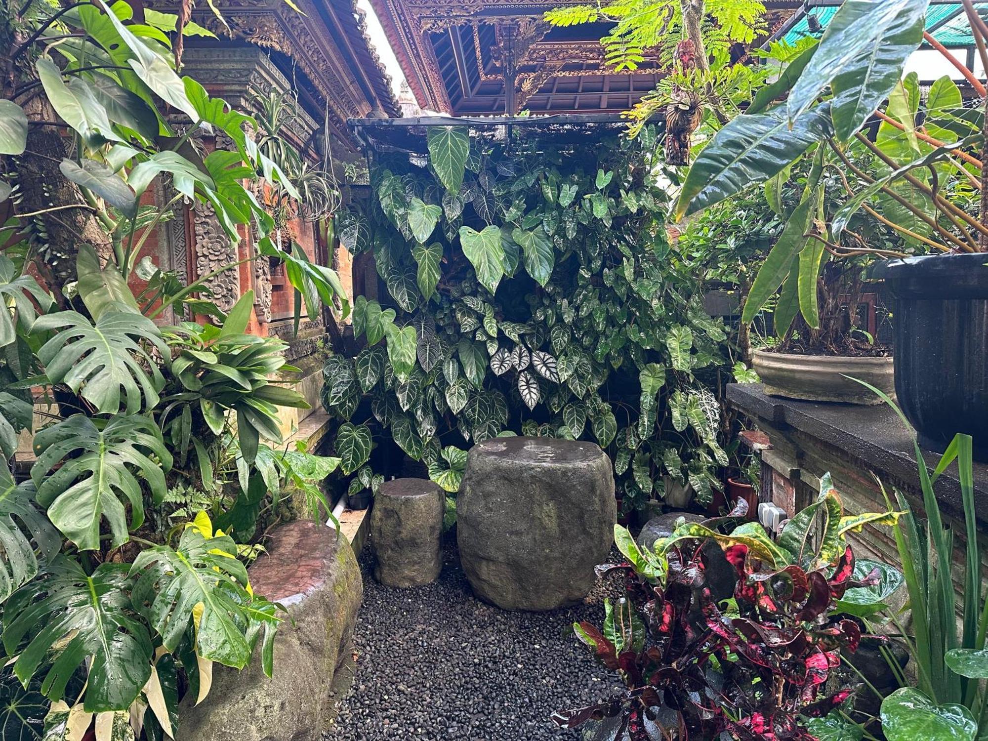 אובוד Naeera Guest House מראה חיצוני תמונה