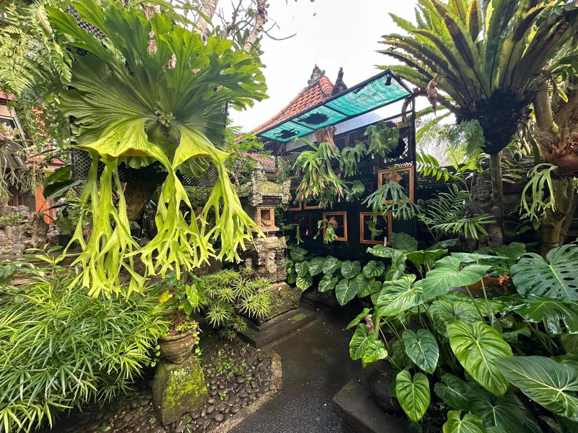 אובוד Naeera Guest House מראה חיצוני תמונה